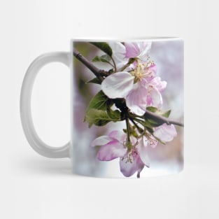 Spring Cherry Blossom Branch Mug